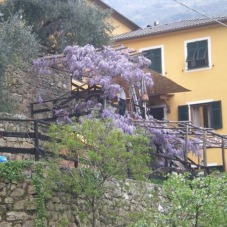 Agriturismo Il Sogno Lorsica エクステリア 写真
