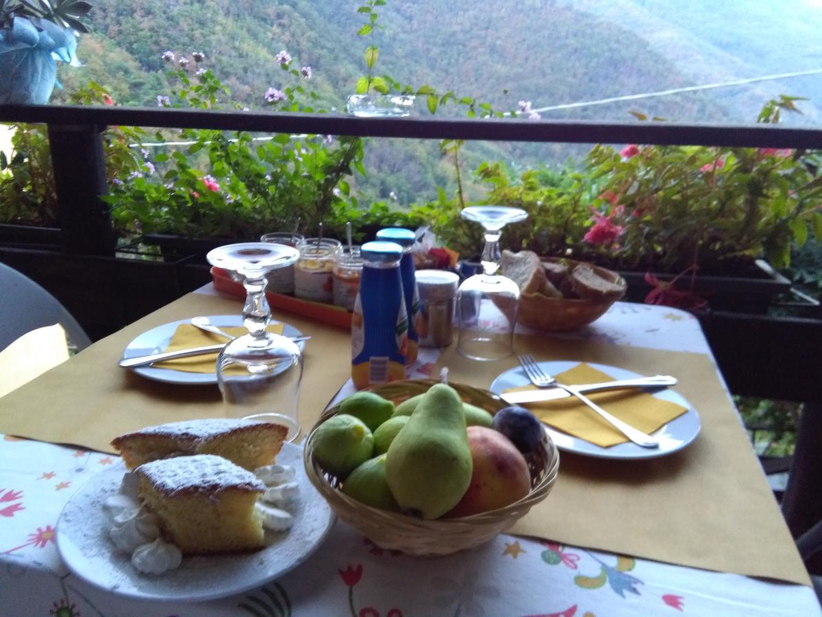 Agriturismo Il Sogno Lorsica エクステリア 写真